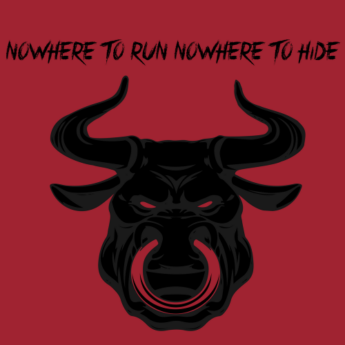 Bulls