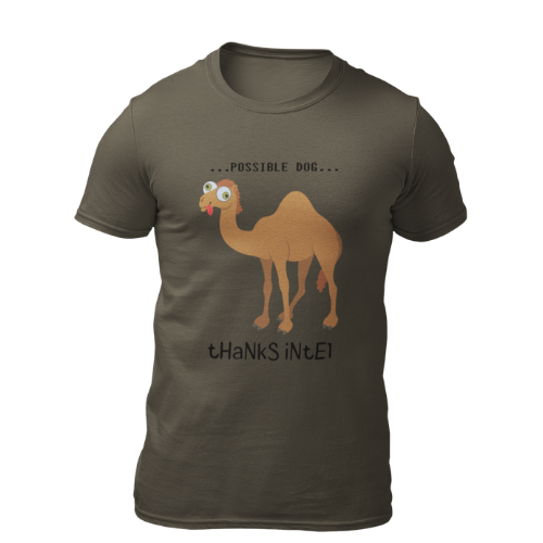 Camel